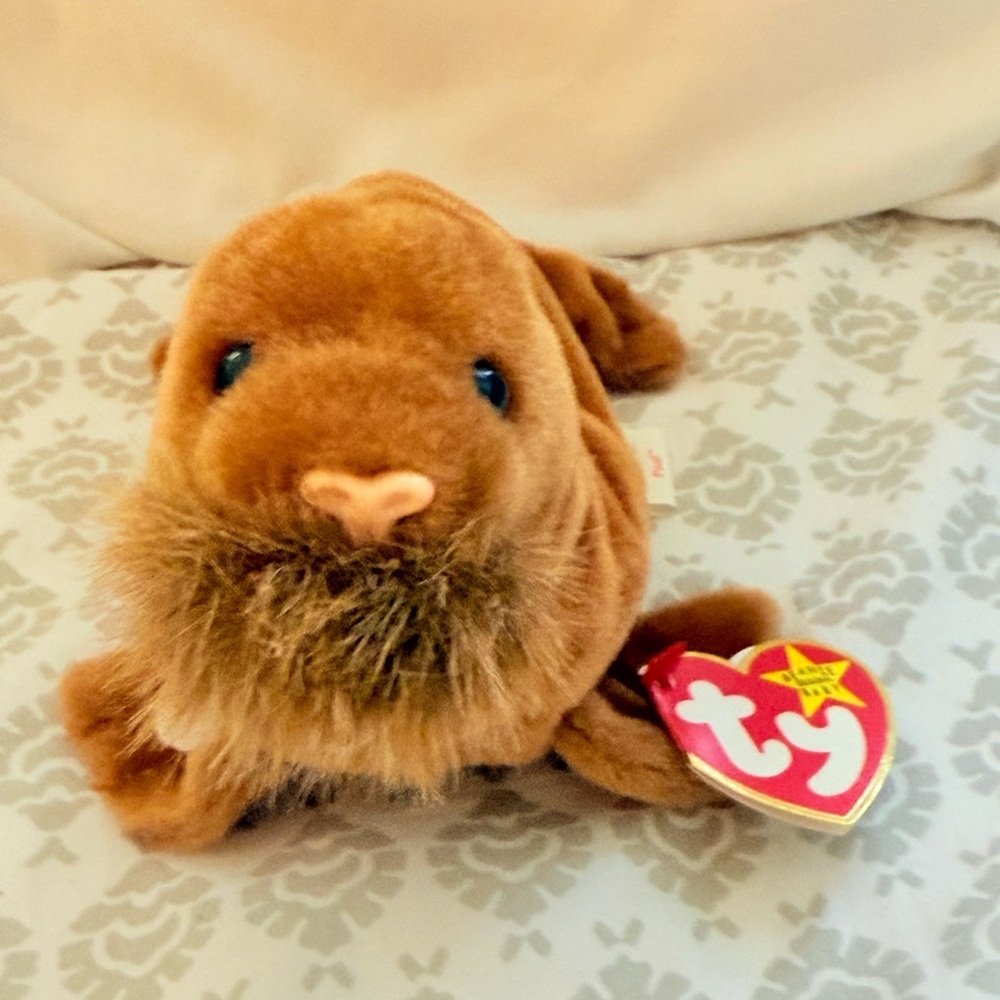 Paul the Walrus Beanie Baby